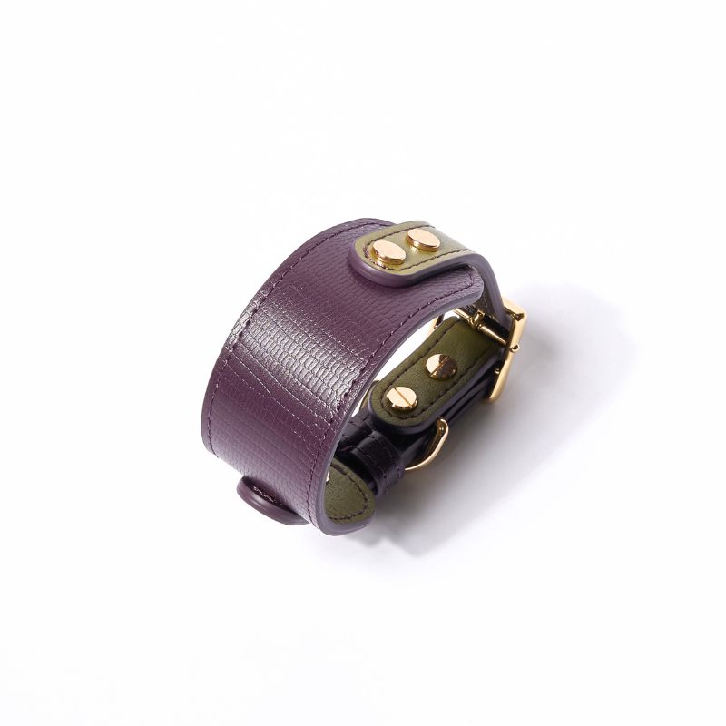 Purrble leather dog collar in violet and light green