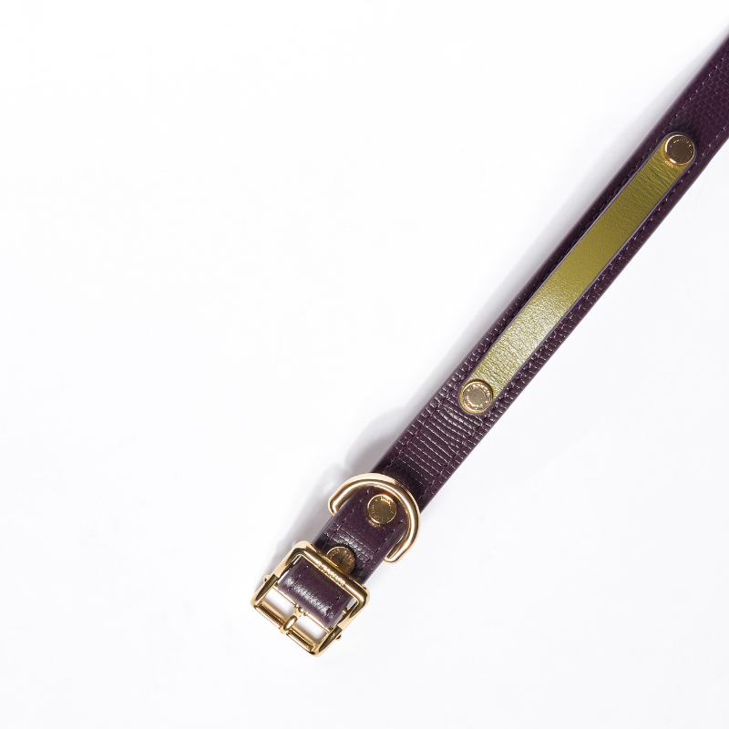 Slim Purrble leather dog collar view