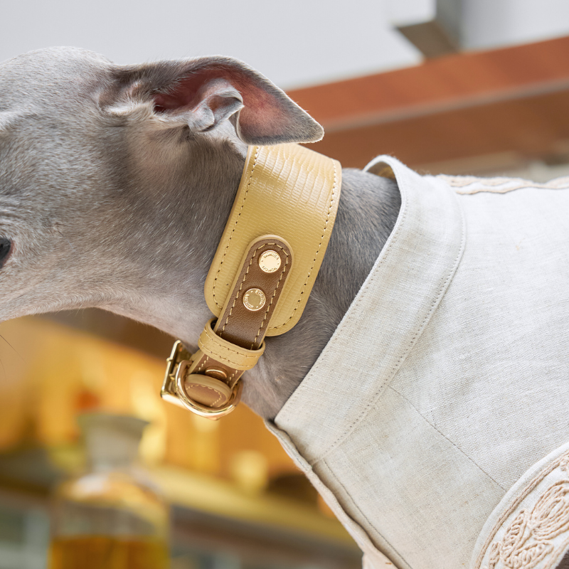 Palais leather dog collar detail