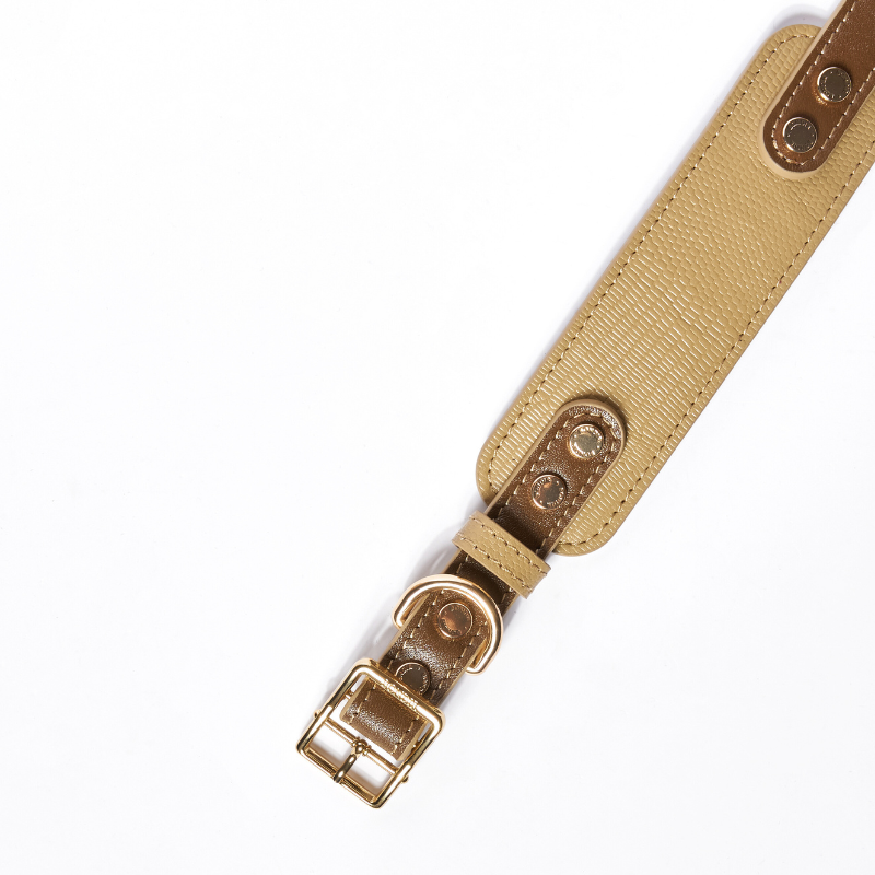 Palais leather dog collar view