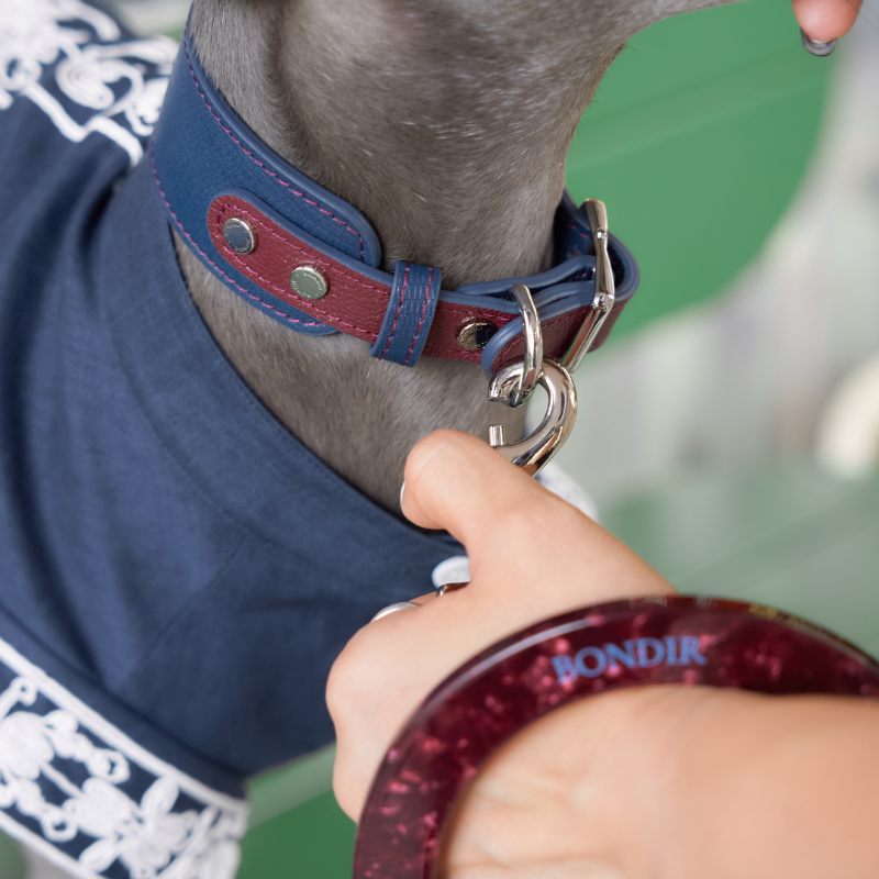Rosette leather dog collar detail