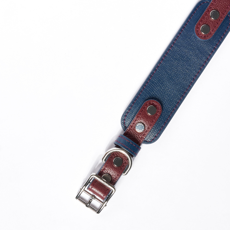 Rosette leather dog collar view