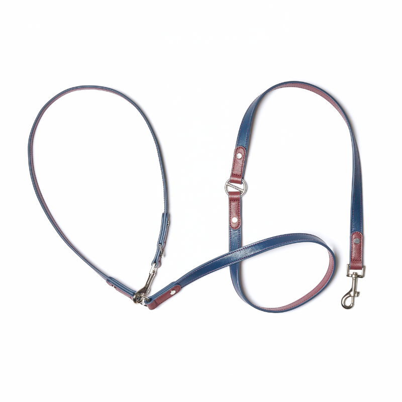 Rosette hands-free leather dog leash in burgundy and navy